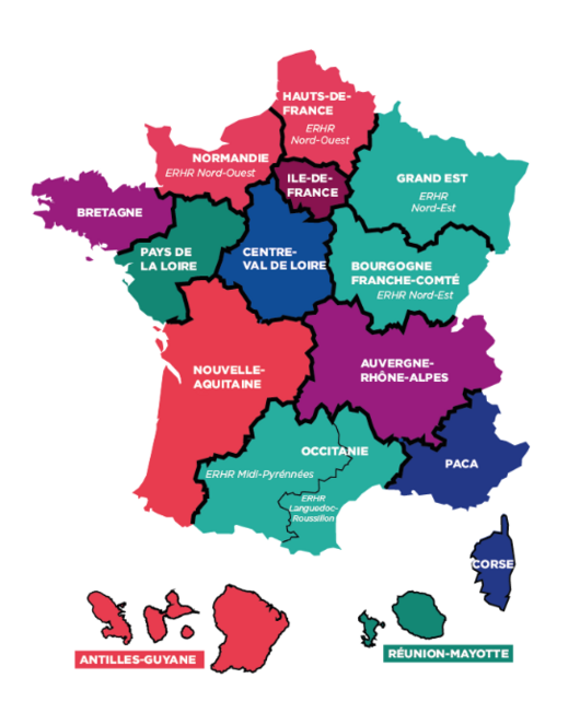 Lien vers le réseau des équipes relais handicaps rares Carte du réseau des équipes relais des Handicaps rares
